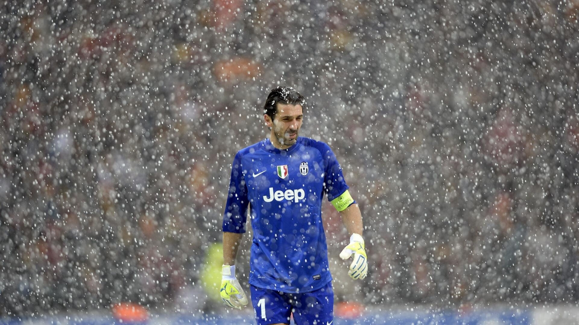 赛道上的交响乐,法比尼奥在F1年度争冠之夜的完美奏鸣曲