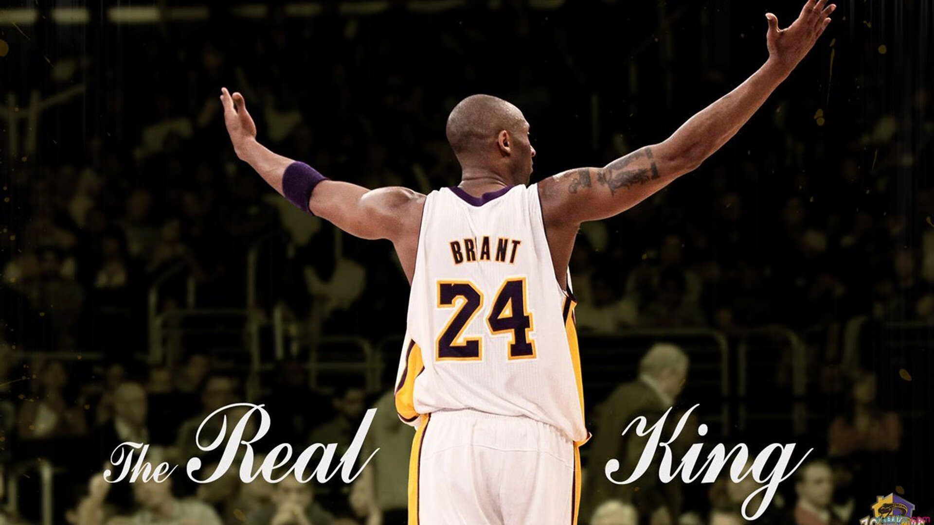 桃田贤斗关键制胜，马来西亚队轻取泰国队展现羽球新格局